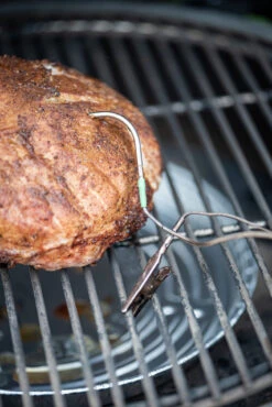 Big Green Egg Eggenius Temperatuur Controller -Big Green Egg big green egg eggenius temperatuur controller 4