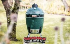 Big Green Egg Medium + Nest + Mates + Cover -Big Green Egg image 131
